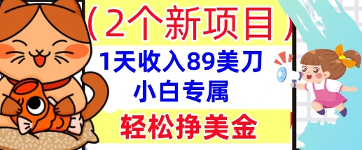 2个新项目，轻松挣美金， 1天收入89美刀，小白专属，干货分享-轻创终点站